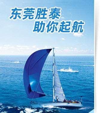 东莞代办营业执照