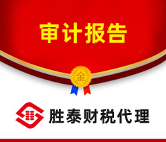 东莞税审报告审计报告